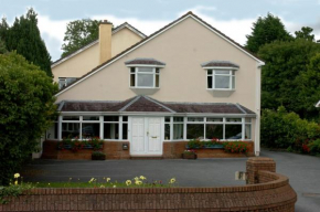 Отель Ardree House B&B  Килларни